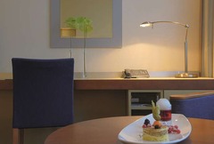 Business Class Room Working Area