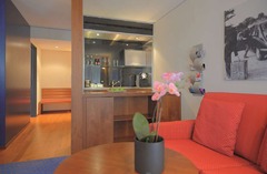 Junior Suite living area