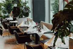 Restaurant Dinner