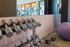 Fitness weights
