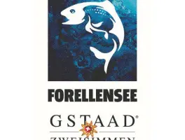 Forellensee Gastro AG, 3770 Zweisimmen