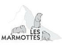 Les Marmottes in 3920 Zermatt: