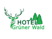 Hotel Grüner Wald, 6467 Schattdorf