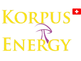 Korpus Energy Oensingen GmbH, 4702 Oensingen