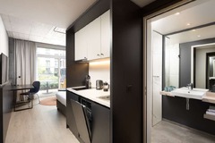 Studio Suite with Terrace