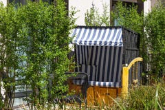 Studio Suite with Terrace