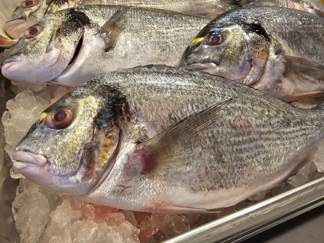 FoodEgge, Marianne Hochstrasser Huber