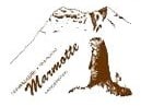 Marmotte