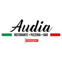 Bilder Ristorante Pizzeria Audia Bellinzona