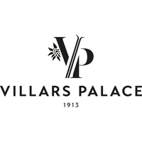 Bilder Villars Palace SA