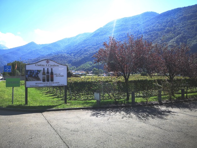 CANTINA IL CAVALIERE SA