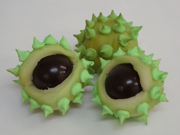 Zeller Chocolatier SA