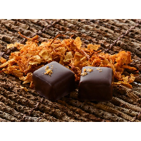 La Chocolaterie de Genève · 1201 Genève · Rue des Alpes 25