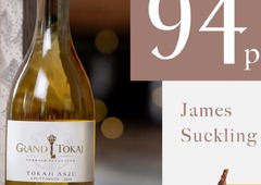 Terroir Selection Tokaji Aszú 5 puttonyos 2019 edelsüsser Weisswein mit geschützter Ursprungsbezeichnung. Hellgold mit Botrytis, Pfirsich, kandierter Orange, Feige, Karamell und exotischen Blüten. Am Gaumen Orange, Quitte, Birne, Aprikose, weisser Sch