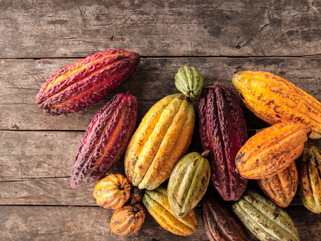 Maestrani Schweizer Schokoladen AG