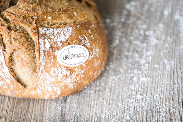 Bäckerei Konditorei Sterchi Länggasse-Muesmatt