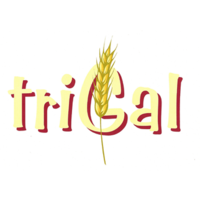 Trigal · 1203 Genève · Rue Lamartine 27