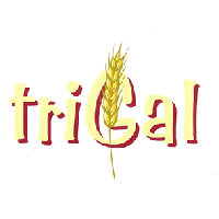 Trigal · 1203 Genève · Rue Lamartine 27