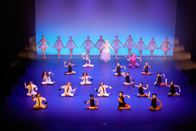 Verein TDC dance company & school