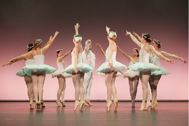 Verein TDC dance company & school