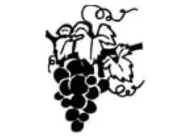 Gasthof Traube Grossaffoltern GmbH in 3257 Grossaffoltern: